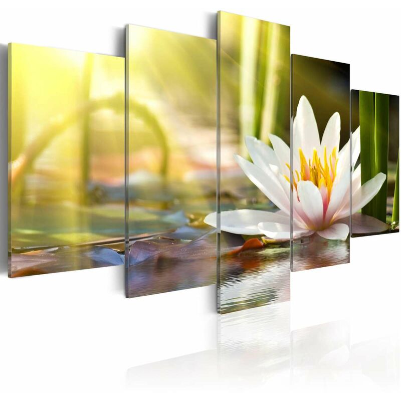 

Cuadro - Sunny Lotus Medidas 100X50