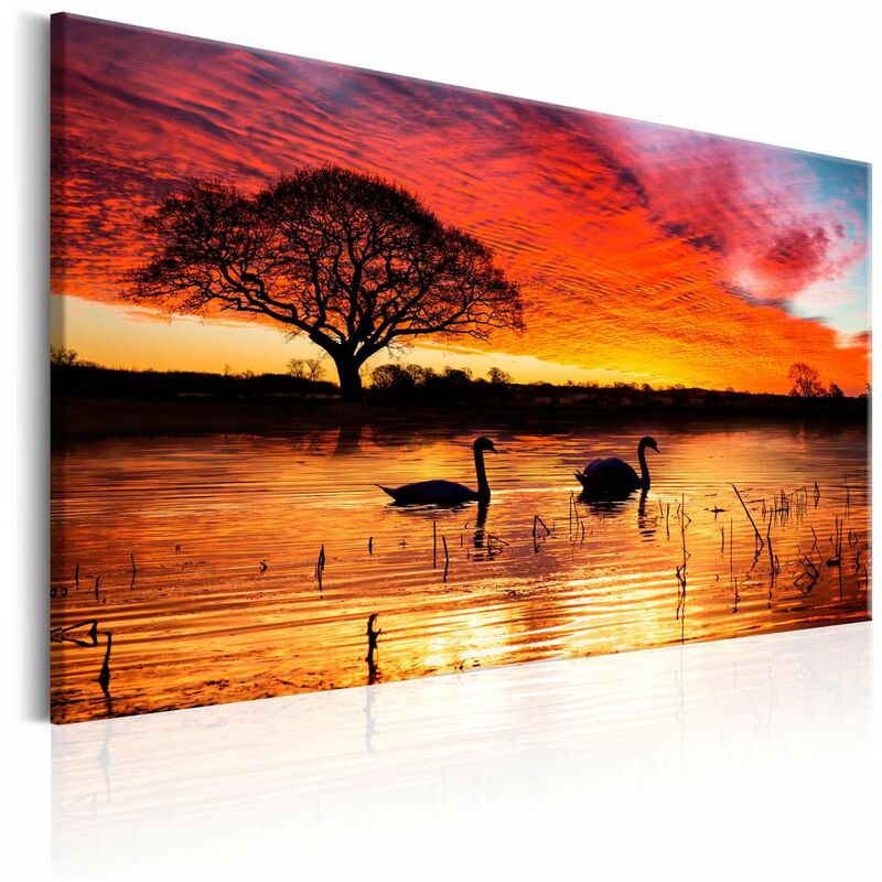 

Cuadro - Swan Lake Medidas 90X60