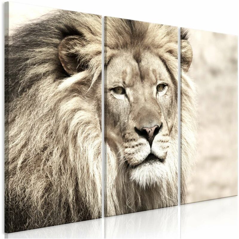 

Cuadro - The King of Beasts (3 Parts) Beige Medidas 120X80