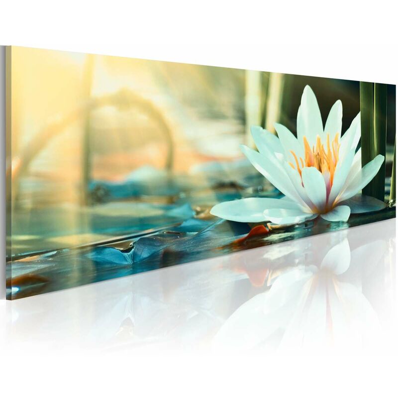 

Cuadro - The Lake of Lotus Medidas 150X50
