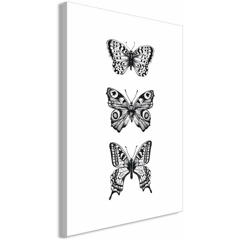 

Cuadro - Three Butterflies (1 Part) Vertical Medidas 40X60