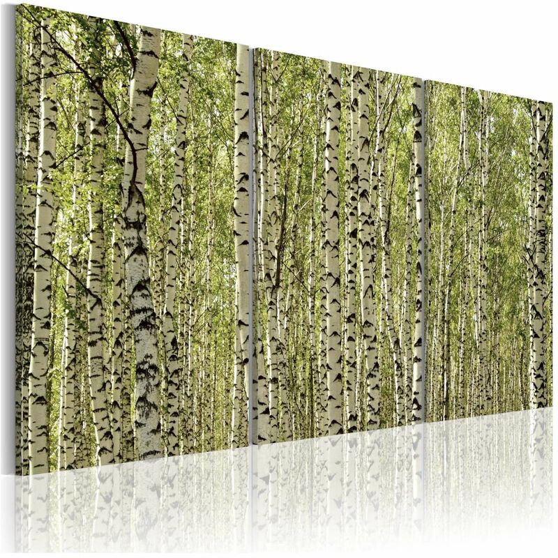 

Cuadro - Un bosque de abedules Medidas 60X40