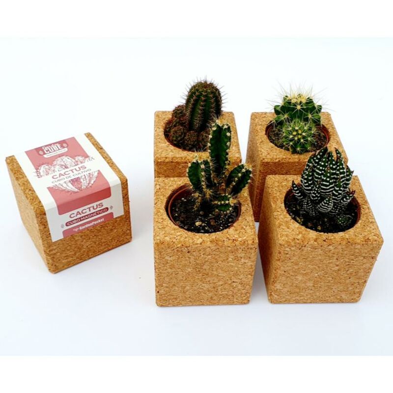 

Cubo con iman de Cactus