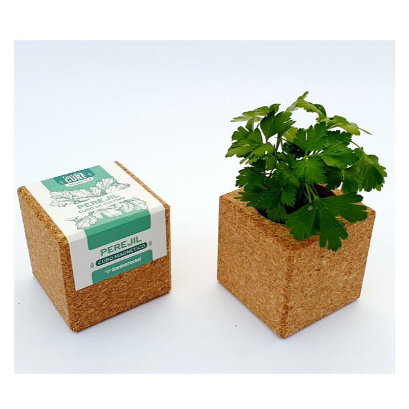 

Cubo con Iman de Perejil
