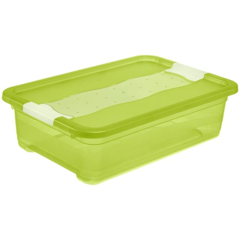 

Keeeper - Cubo de almacenaje con Tapa, Plástico, Verde Transparente, 28 l
