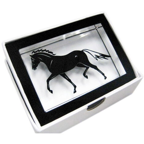 Cubo di vetro con cavallo