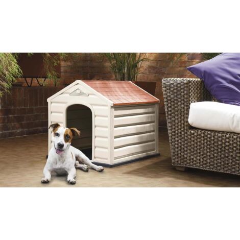 CUCCE PER CANI BRIXO PUPPY