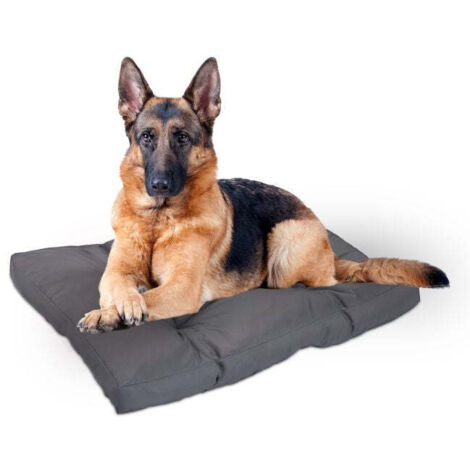 Cuccia per cani grigia 883091