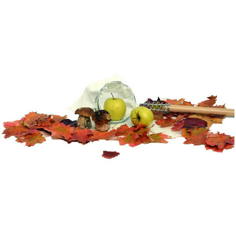 Cueille-fruits à emmancher