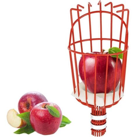 Cueille Fruits métallique avec Griffe, Outil de cueillette de Fruits métal, Outils de Jardinage pour récolte de Pommes, Agrumes, Poires, Pêches