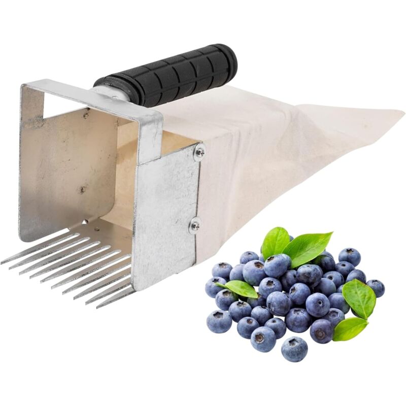 Cueilleur de baies Cueilleur de myrtilles ergonomique en métal avec peigne Cueilleur de baies Cueilleur de fruits à récolte rapide à 13 dents avec