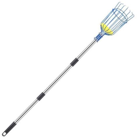 Cueilleur de fruits avec panier et manche télescopique, 4 m, en acier inoxydable, pour oranges et pommes