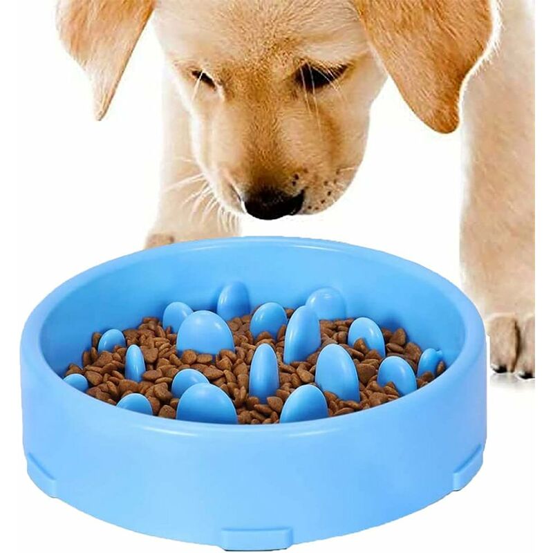 

Cuenco de alimentación lenta para perros, cuenco de alimentación lenta, cuenco anti-glotón para perros y gatos, promueve una alimentación saludable y