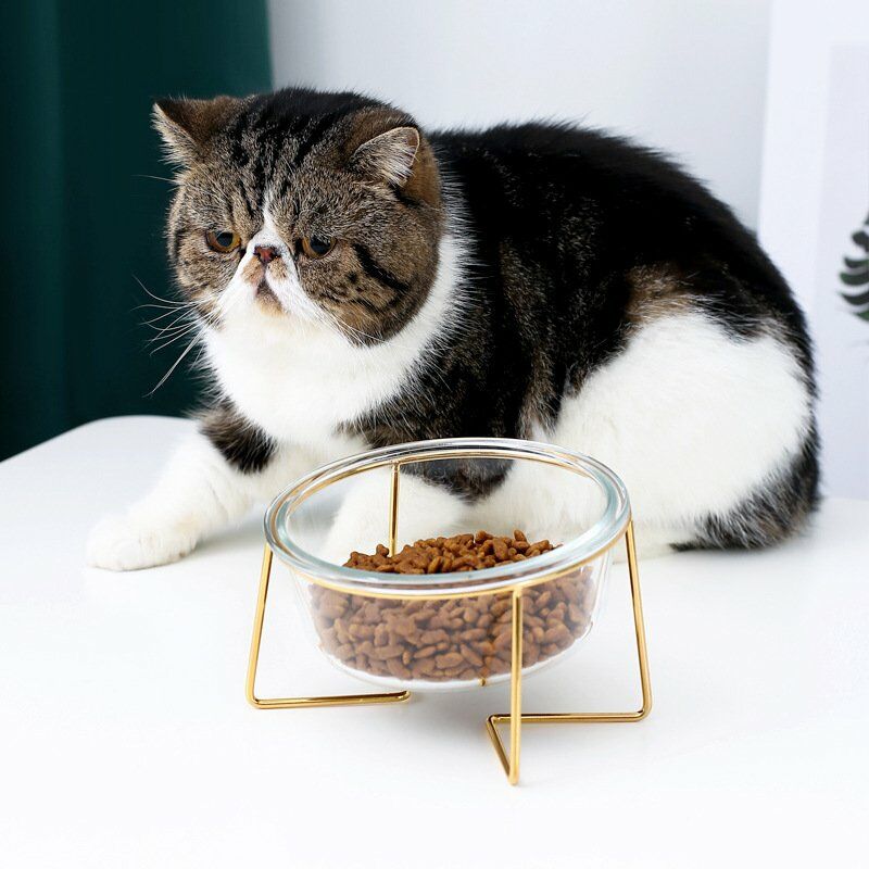 

Cuenco de vidrio para comida para gatos, cuenco de arroz para perros, cuenco de comida para gatos, cuenco para perros,14,7 cm / 480 ml