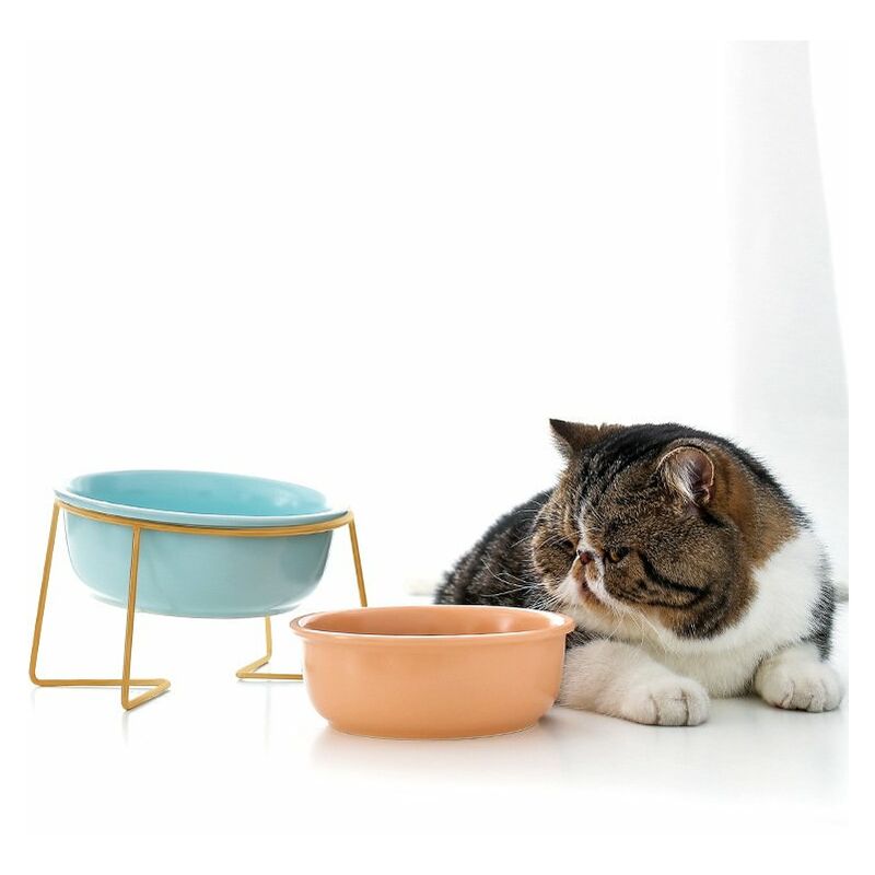 

Cuenco para gatos, cuenco de ceramica para alimentos, cuenco para beber para mascotas, cuenco dorado,17,8 cm / 800 ml, blanco