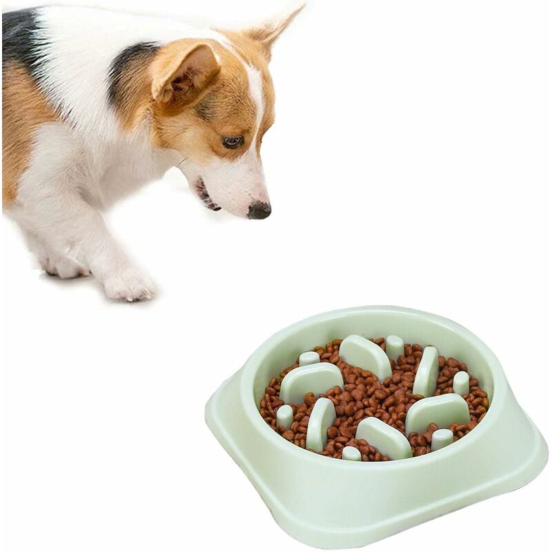 

Cuenco para perros, Cuenco para perros de alimentación lenta, Cuenco antideslizante para mascotas, Cuenco anti glotón, Anti hinchazón, Verde