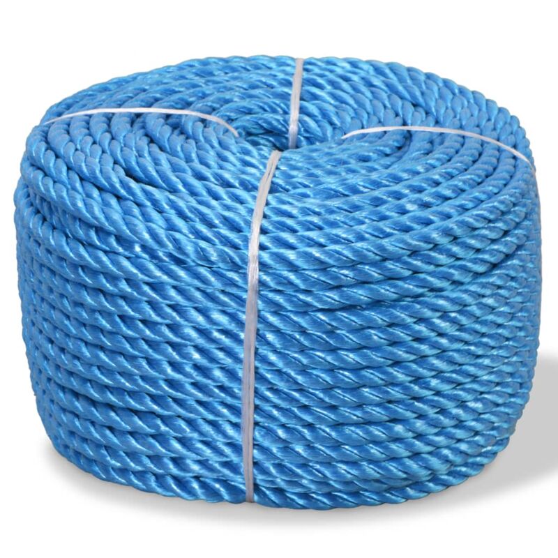 

vidaXL Cuerda Torcida de Polipropileno 10 mm 500 m Azul