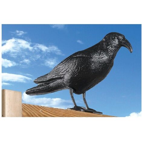 CUERVO AHUYENTA PAJAROS 13x48x20cm
