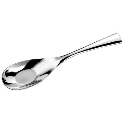 Cuillère à soupe haut de gamme en acier inoxydable 316L, idéale pour buffets et service. Résistante, élégante et durable.