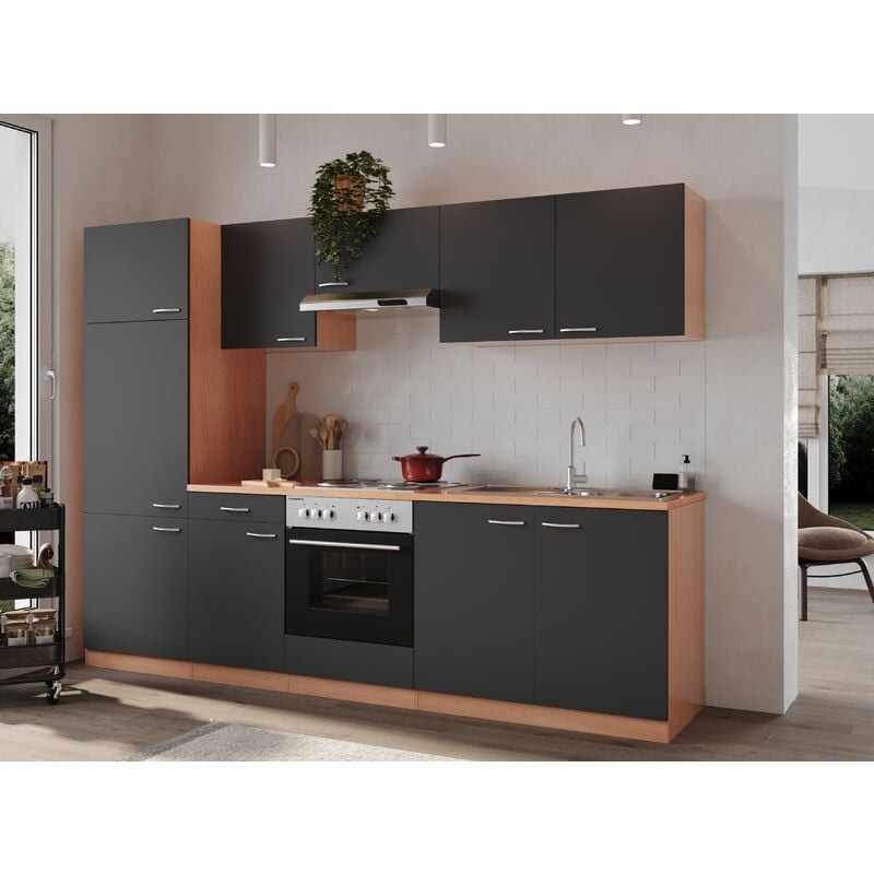 Cuisine Kitchenette bloc cuisine intégrée hêtre gris Gerda 270 cm Respekta