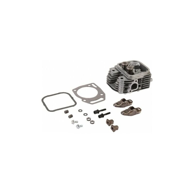 809186 - Culasse pour moteur Briggs et Stratton