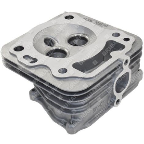 Culasse pour moteurs DAYE - DAYEE Y8110000000 - 055896