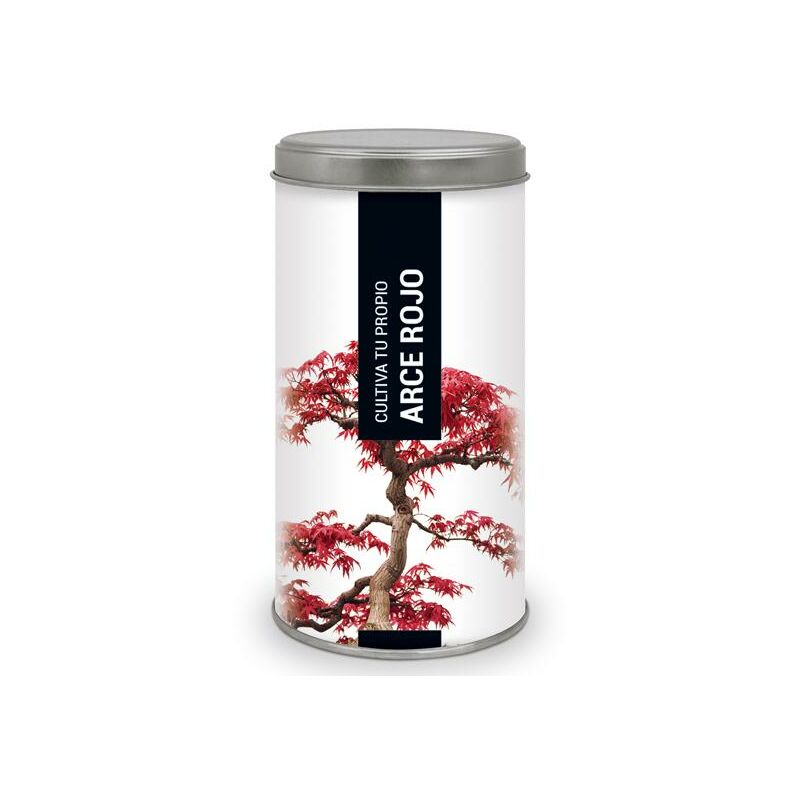 

Cultiva tu propio Arce Rojo