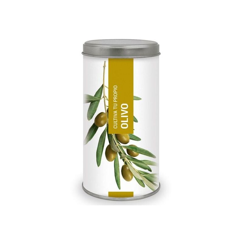 

Cultiva tu propio Olivo