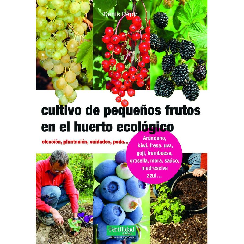 

Cultivo de pequeños frutos en el huerto ecológico