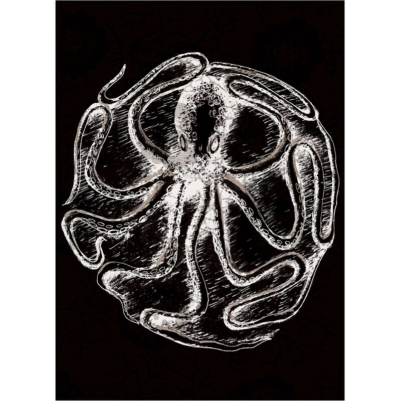 

Beneffito - CURIOSITY - Póster Artístico Firmado – Pulpo - 21x30 cm