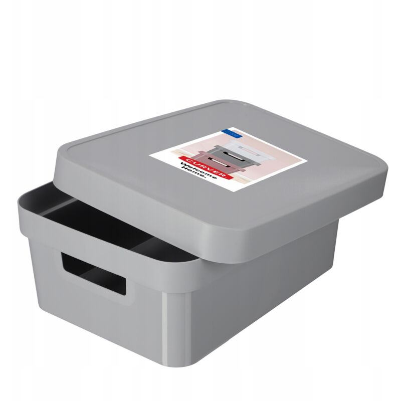 04752-099-00 Infinity Boîte à Rangement avec Couvercle Plastique Gris Clair 36,3 x 27 x 22,2 cm 11 l - Curver