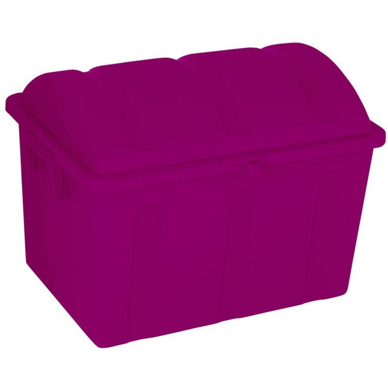 259604 Boîte de rangement Piraten 75 Jahre-Edition lilas (métallisé) 1 pc(s) - Curver