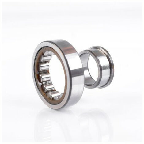 Cuscinetti a sfere a rulli cilindrici 17mm est. 62mm int. 25mm cilindrico Bohr.NSK