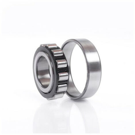 Cuscinetti a sfere a rulli cilindrici N320 WC3 47mm est. 215mm interno 100mm cilindrico Bohr.NSK