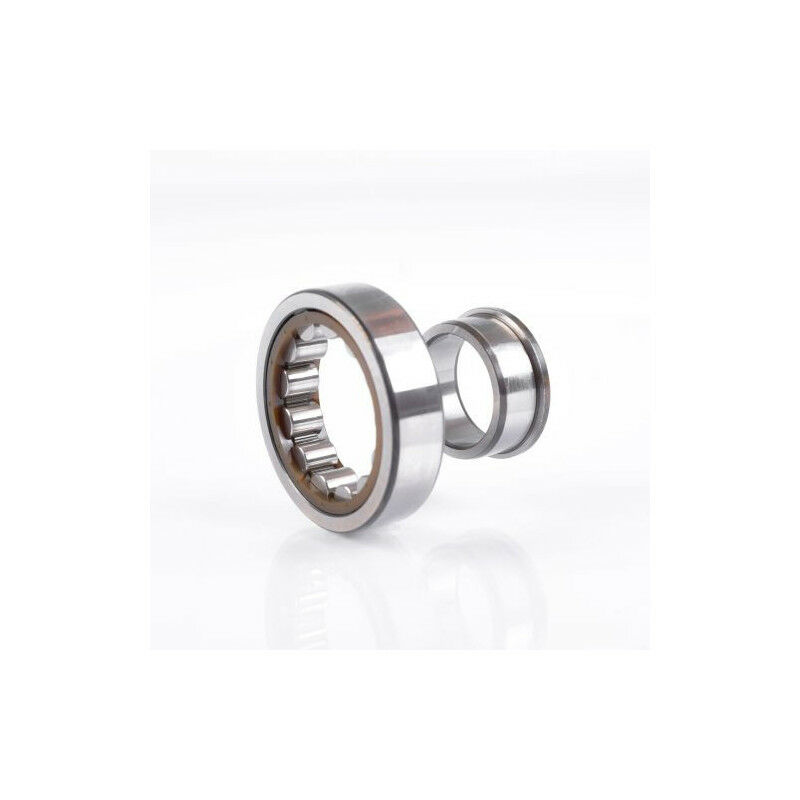 Cuscinetti a sfere a rulli cilindrici NJ320 WC3