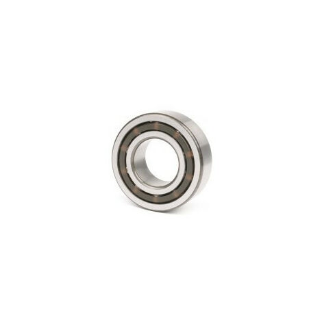 Cuscinetti radiali rigidi a sfere 4204 BTNG 18mm est. 47mm int. 20mm NSK