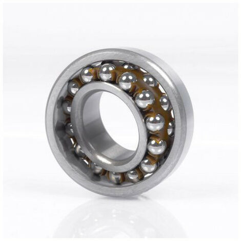 Cuscinetti sferici a sfera 25mm est. 100mm int. 55mm ZEN