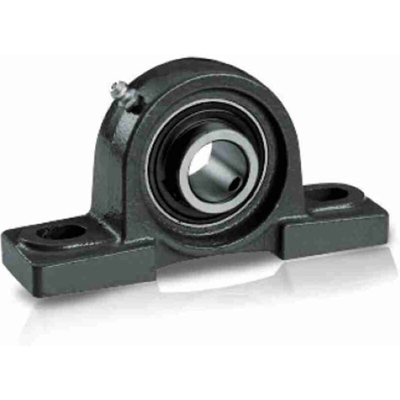 1919966 Roulement ø 30 ACM ucp 206 1919966