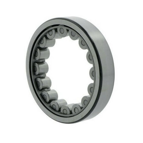 Cuscinetto a rulli cilindrici 22mm OD 110mm ID 72mm foro cilindrico SKF