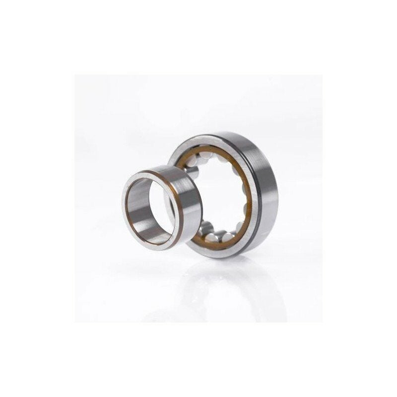 Cuscinetto a rulli cilindrici 64mm od 230mm id