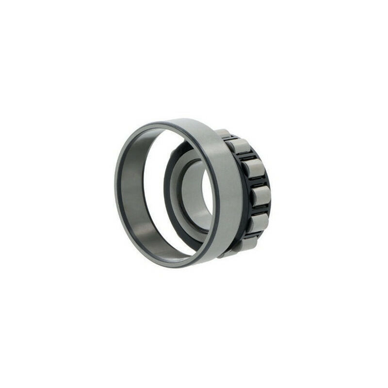 Cuscinetto a rulli cilindrici ETVP N202. 15mm ext