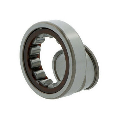 Cuscinetto a rulli cilindrici NJ2205 ECP INT. 25mm ext. SKF di 18 mm di larghezza 52mm