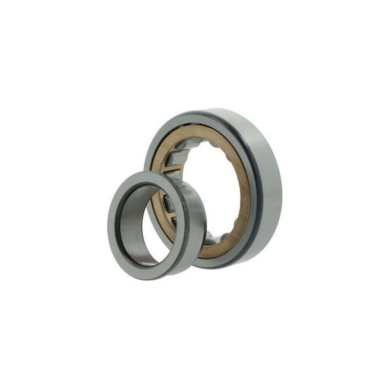 Cuscinetto a rulli cilindrici NJ2210 EMA6C3 INT