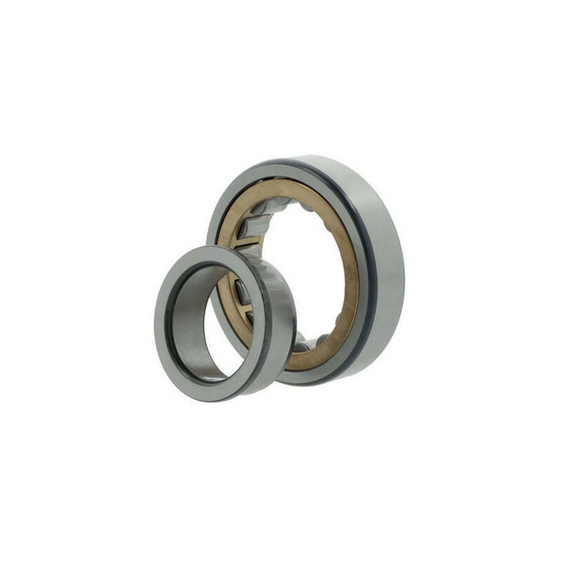 Cuscinetto a rulli cilindrici NJ244 EM6 INT. 220