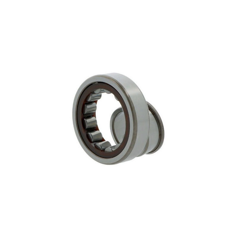 Image of SKF - Cuscinetto a rulli cilindrici NJ305 ECP/C3 id 25mm ad 62mm larghezza17mm