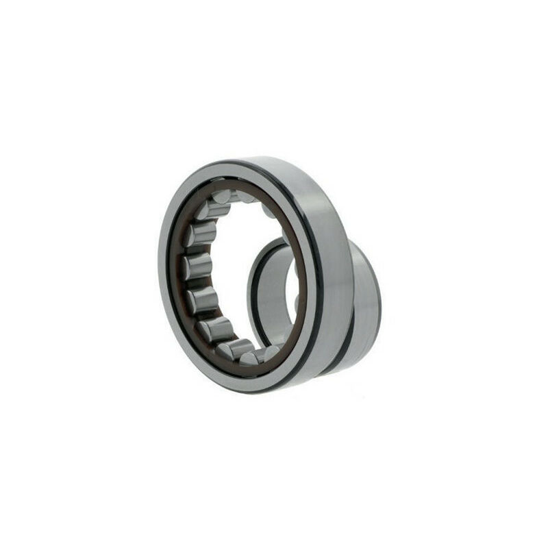 Cuscinetto a rulli cilindrici NU202 ETVP3C3 int