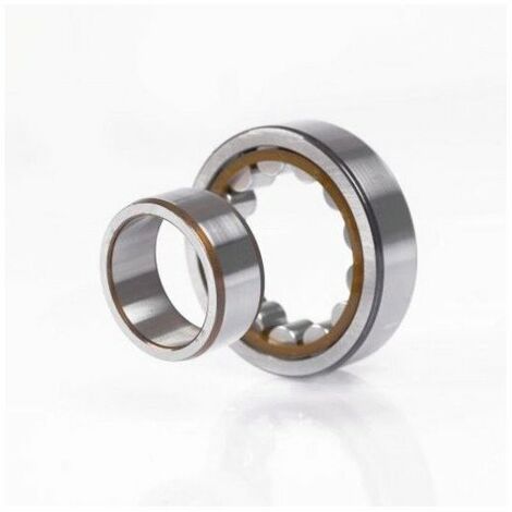 Cuscinetto a rulli cilindrici NU205 ETVP3C3 15mm OD 52mm ID 25mm foro cilindrico NKE