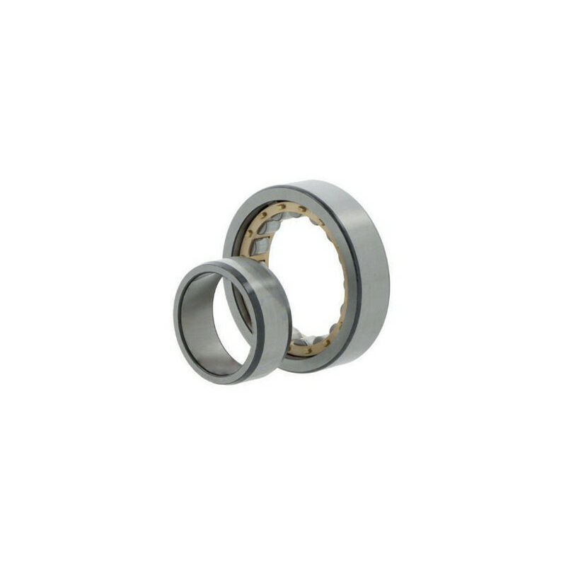 Cuscinetto a rulli cilindrici NU2306 EM1. 30mm