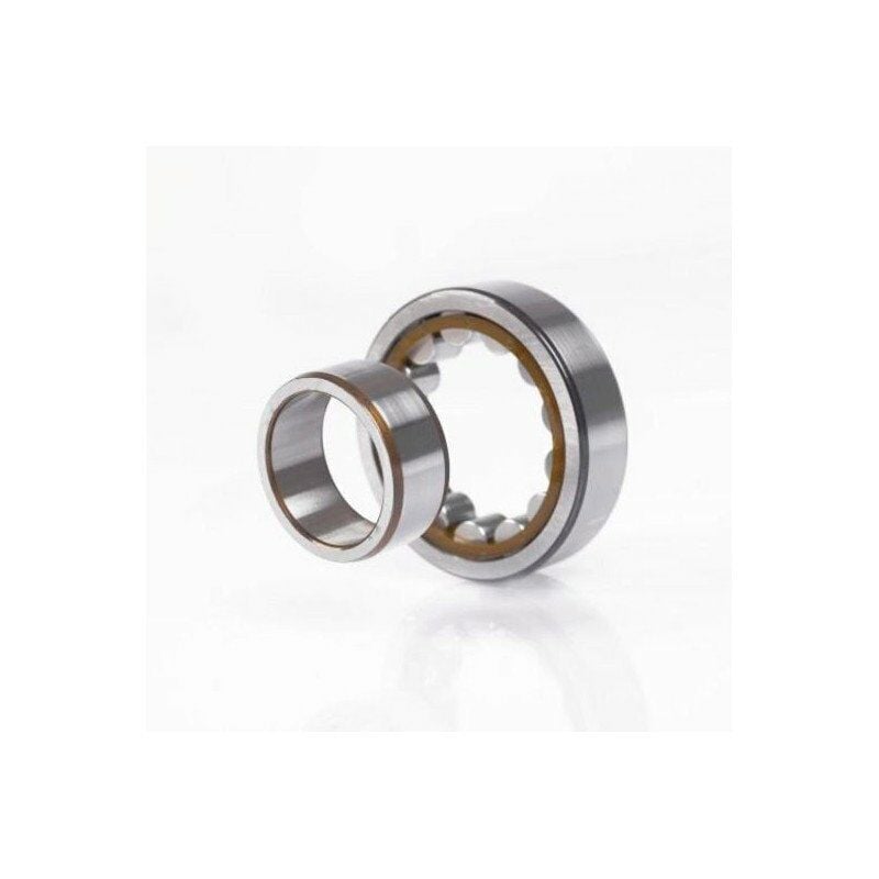 Cuscinetto a rulli cilindrici NU313 ETVP2 33mm od