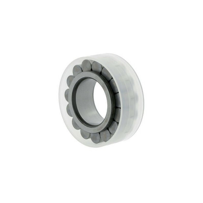 Cuscinetto a rulli cilindrici RSL185008 INT. 40mm